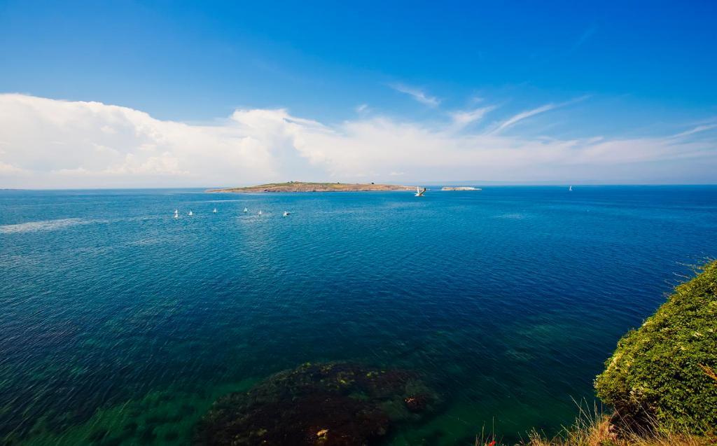 Hotel Albatros Old Town Sozopol Bagian luar foto